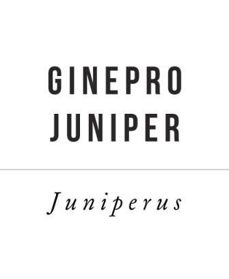 bacche di ginepro